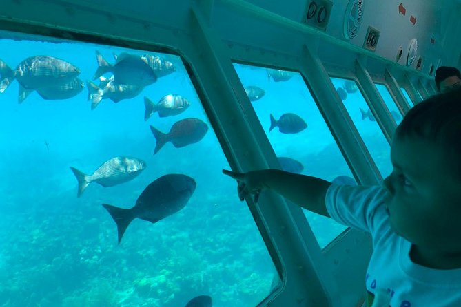 Glass Bottom Boat Tour and West Bay Beach - Inclusions and Amenities