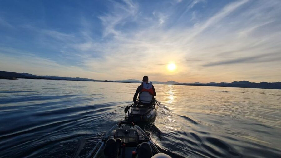 Golfo Aranci: Dolphin Watching Kayaking Tour With Aperitif