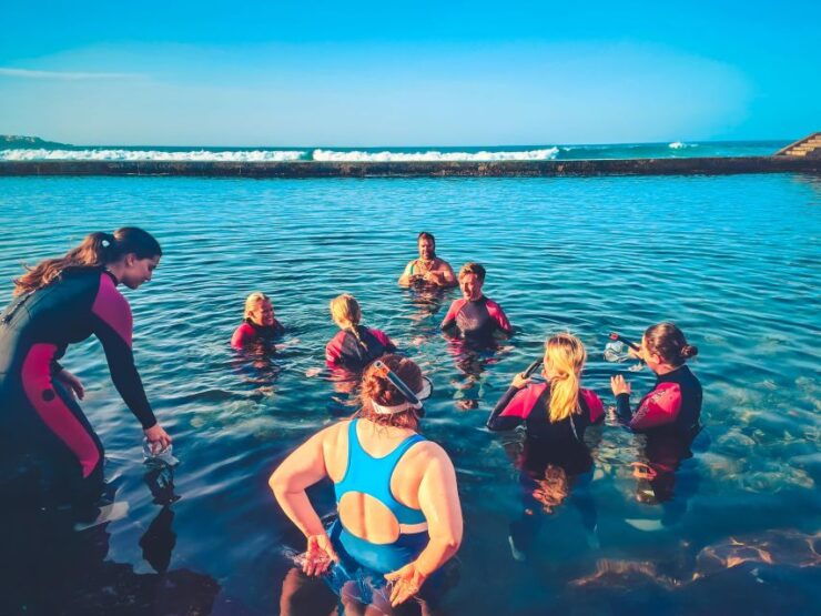 Gran Canaria: North Coast Tour - Salt, Rock Pools, Snorkel ツ - Itinerary