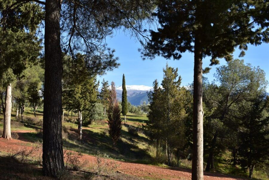 Granada: Alhambra Natural Park Hiking Tour - Good To Know