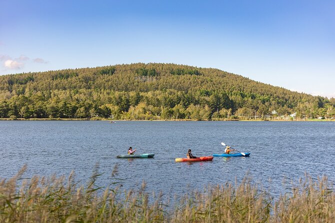 Guided Canoe Tour to the Springs and Highlands of Shirakaba Lake - Tour Details and Information