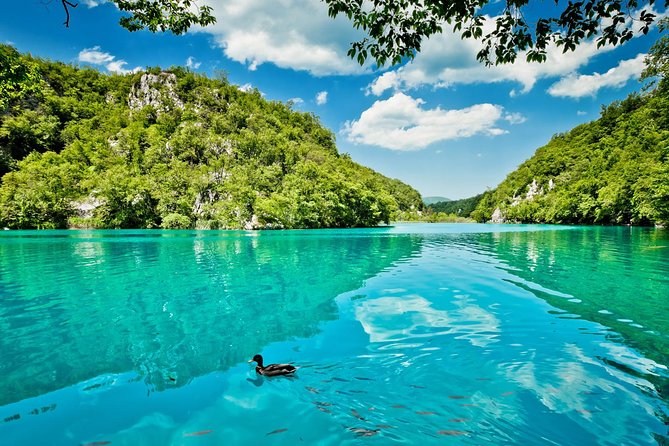 Guided Transfer From Split to Zagreb With Plitvice Lakes Stop - Tour Details