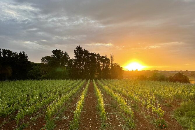 Guided Wine Tasting In Puglia - Location and Meeting Point