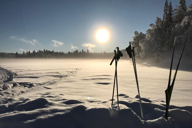 Guided Winter Wonderland Snowshoeing Adventure From Prague - Price and Booking