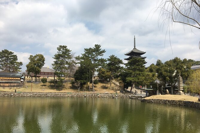 Half-Day Private Guided Tour to Nara City - Inclusions and Exclusions