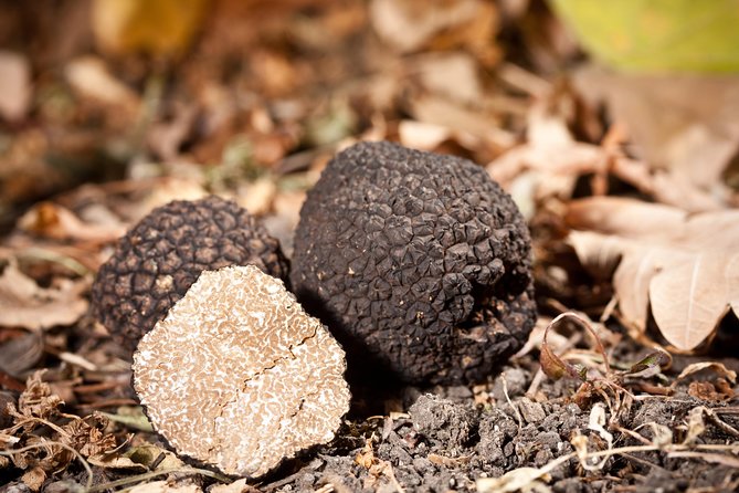 Half Day Trip to Motovun With Truffle and Local Brandies Tasting - Inclusions
