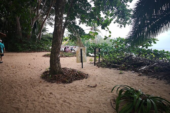 Half-Day Wildlife Hiking Tour of Cahuita National Park - Tour Details