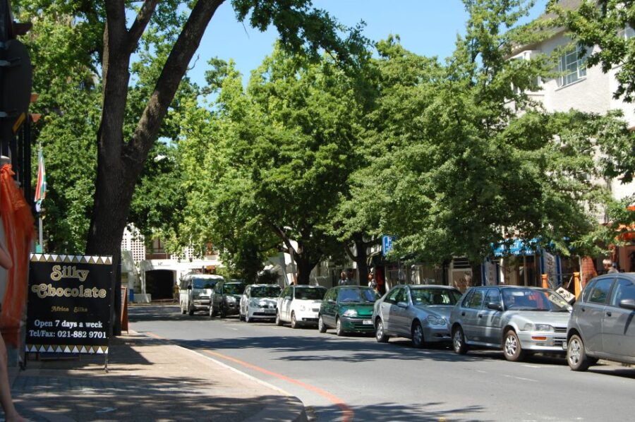 Half Day Winelands Tour