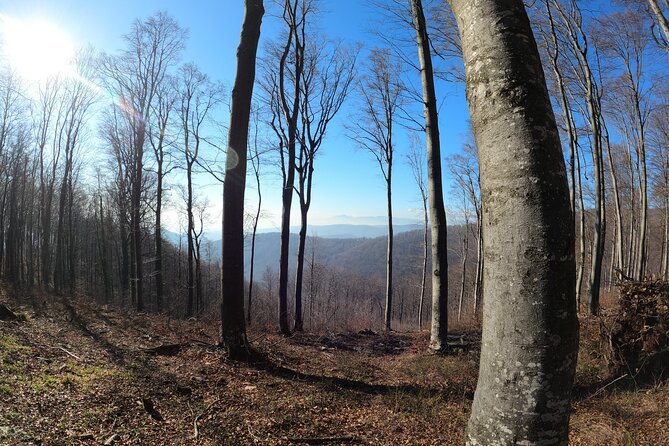 Hiking Medvednica & Medvedgrad Castle - Tour Inclusions