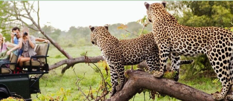 Hluhluwe & Isimangaliso Wetlands Park 2 Day Tour From Durban - Full Description