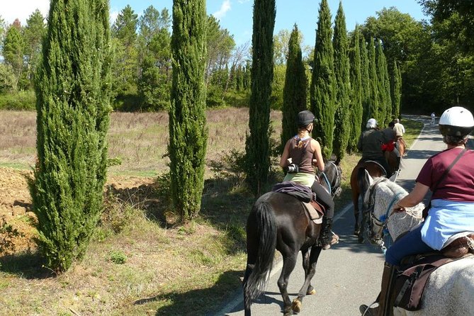 Horse Riding in Tuscany for Experienced Riders: Full-day Trail Ride - Logistics