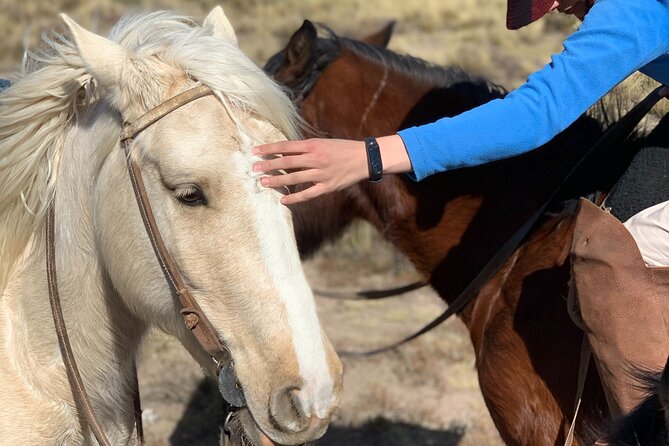 Horseback Expedition to the Andes, 2 Days. Sleep in the Heart of the Mountain. - Itinerary Details
