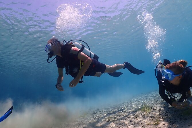 Introductory Diving in Small Groups - What to Expect During Diving
