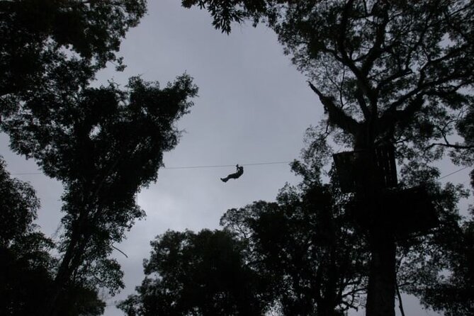 Jungle Fly: Adventure at the Jungle in Iguazu - Location