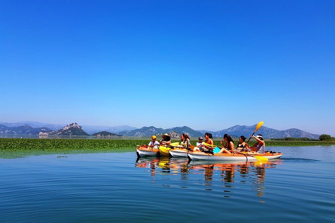 Kayak Guided Tour Skadar Lake - Adventure in National Park - Tour Details