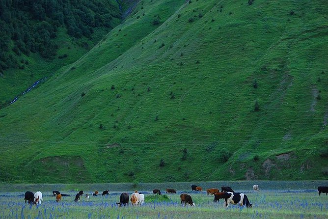Kazbegi Adventure - Private Day Trip From Tbilisi With a Dinner + Masterclass - Inclusions