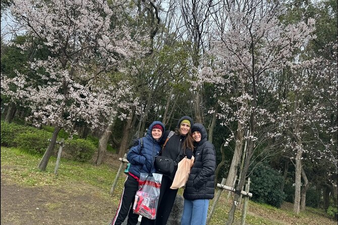 Kobe Guided Tour Including Port Area and Arima Onsen Town - Tour Itinerary Highlights