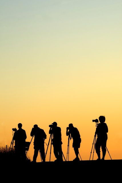 La Albufera: Nature Photowalk & Workshop