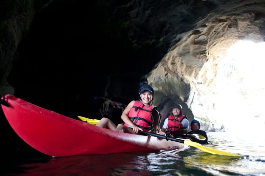 La Jolla: 2.5-Hour Kayak and Snorkel Tour - Tour Description