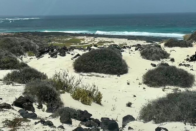 Lanzarote: Private Island Grand Tour - Booking Information