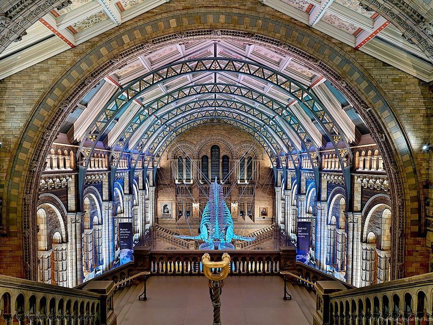 Londons Nature Tour: Museum Expedition