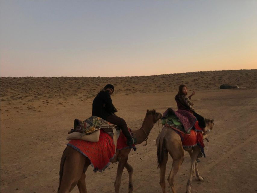 4 Best Safari Tours In Thar Desert