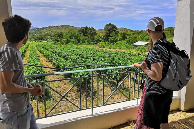 Meet the AUTHENTIC Rhodes Tour - PRIVATE Half-Day or Full-Day Tour - Tour Overview