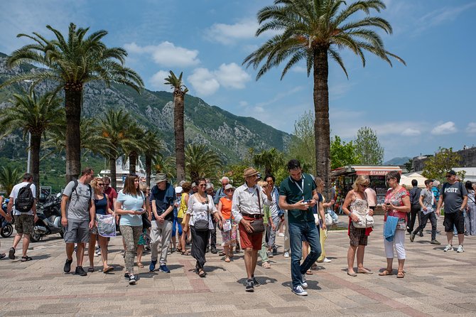 Montenegro: Bay of Kotor Day Trip From Dubrovnik - Tour Details