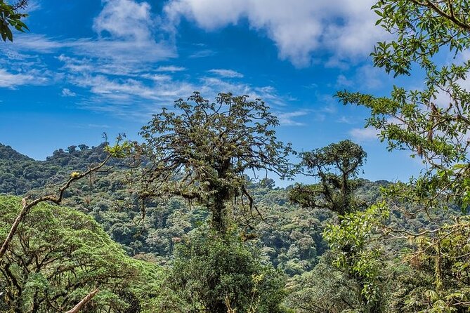Monteverde Local Experience Guided Tour From Monteverde - Tour Highlights