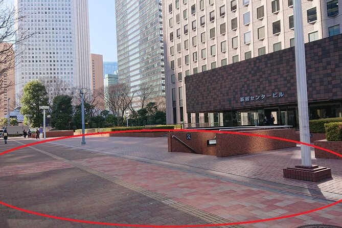 Mt Fuji & Five-Story Pagoda & Honcho Street & Oishi Park Day Tour