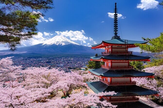 Mt. Fuji Private Tour From Tokyo With English Guide - Departure Details