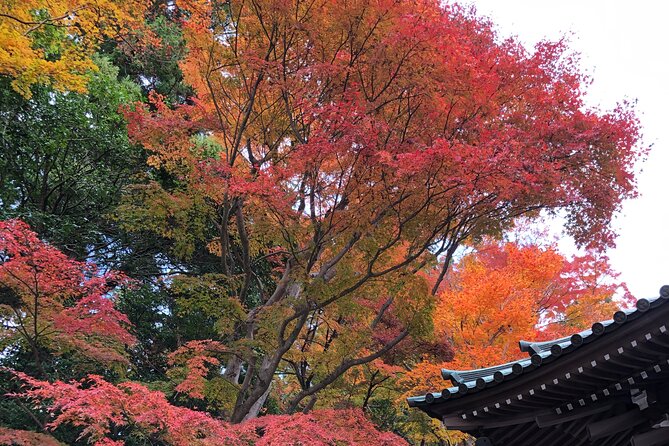 Mt. Takao Hiking Tour With Licensed Guide - Tour Overview