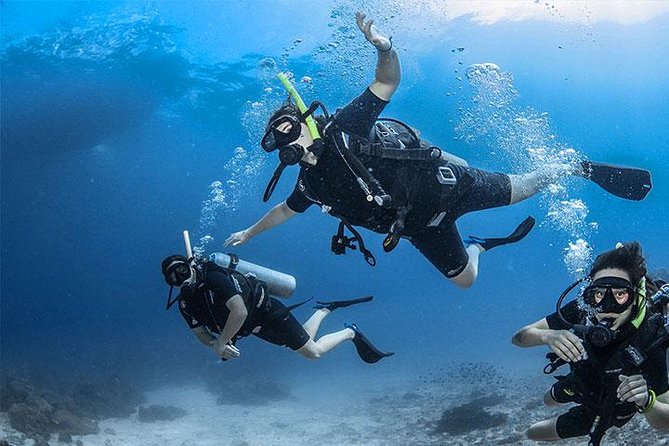 Non Certified Diving Experience Plus Transportation - Experience Location and Inclusions