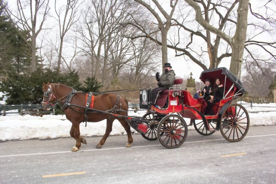 NYC Horse Carriage Ride in Central Park (65 Min) - Highlights