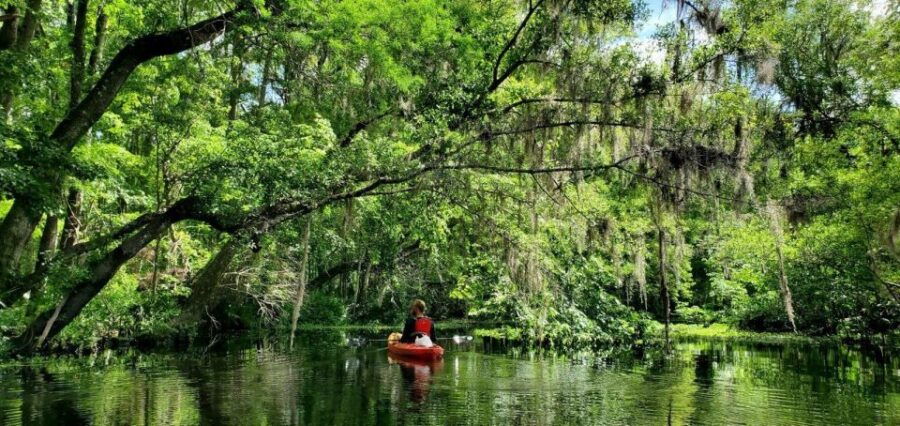 Old Florida Backwater Kayak Adventure Near St. Augustine