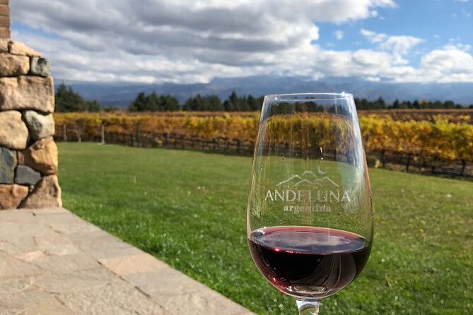 One Day Grapes on the Edge. Uco Valley Wine Tour - Tasting Experiences