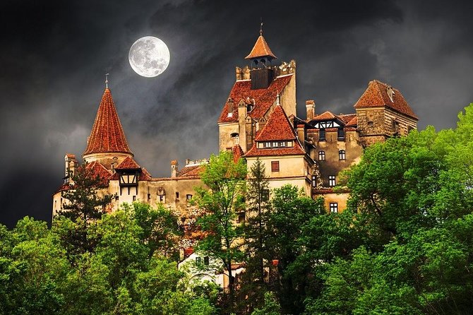 One Day Trip Bear Sanctuary, Dracula Castle, Rasnov Fortress From Brasov - Tour Details