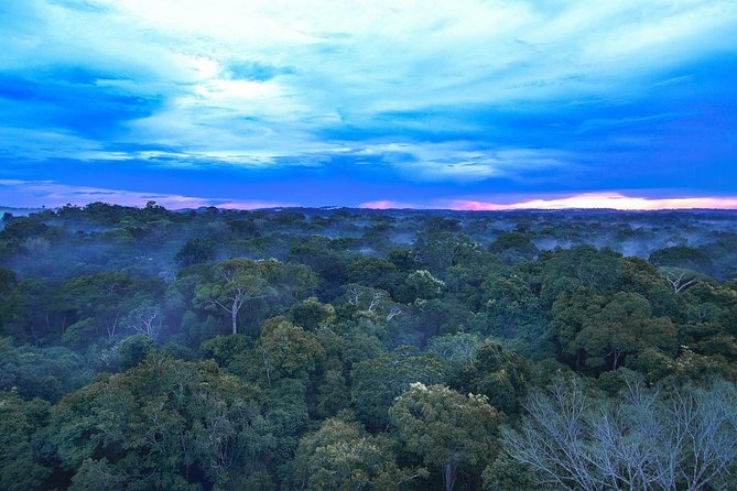Pantanal & Amazon Holiday - Private Multi Day Tour - Itinerary Details