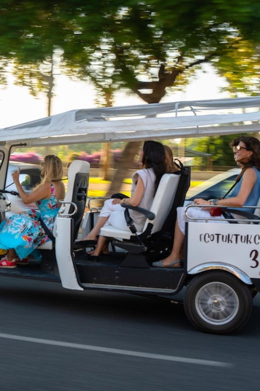Paris City Tour By Private Eco TukTuk