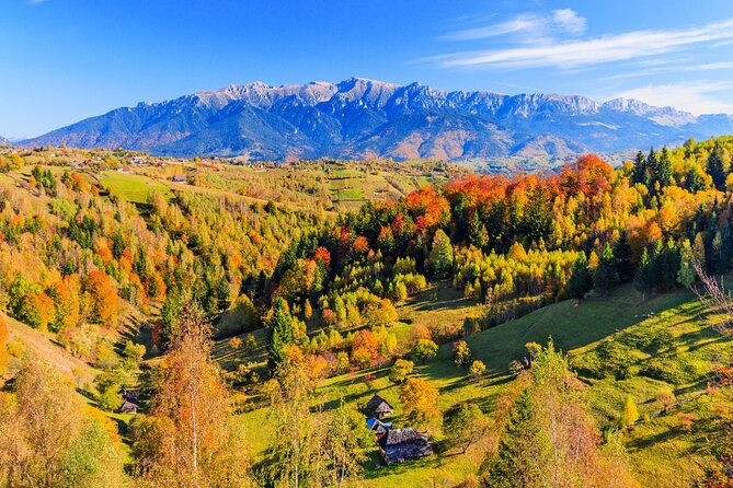 Pestera and Magura Full-Day Private Walking Tour From Brasov - Tour Overview