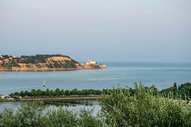 Piran Old Town Walking Tour - Tour Details