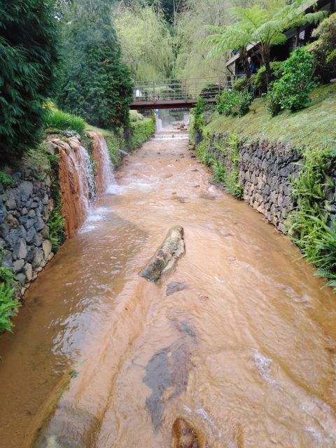 Ponta Delgada: Full Day Tour Furnas Hot Springs & Gastronomy - Tour Details