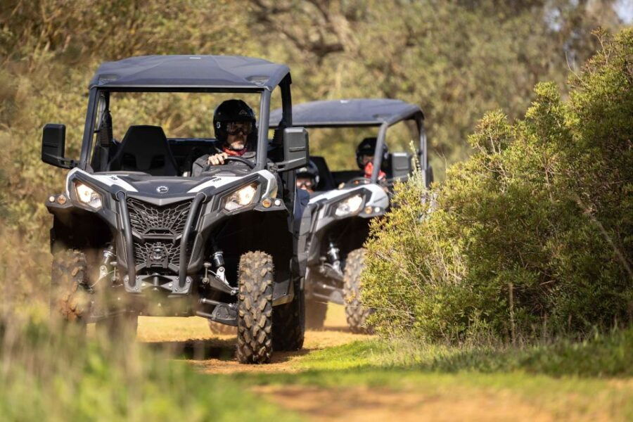Porto Santo: 90 Minutes Off-Road Buggy Tour