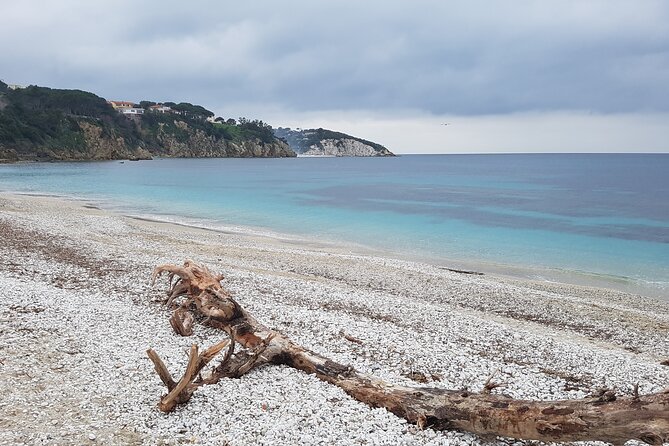 Portoferraio Walking Tour With Guide 2 Hours