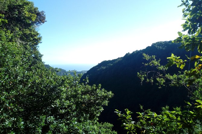 PR18 Levada Do Rei Private Transfer - Inclusions