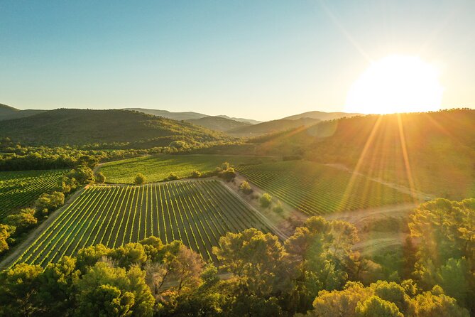 Private 4x4 Ride in a Wine Estate Followed by a Tasting - Experience Description