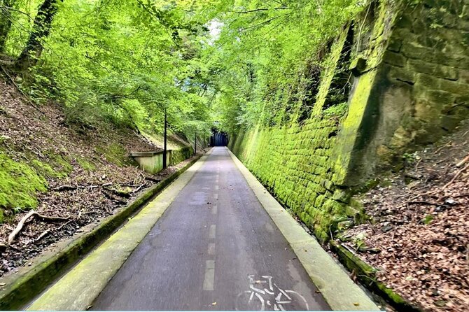 Private Bike Tour in San Sebastián With Pintxo and Drink - Tour Experience