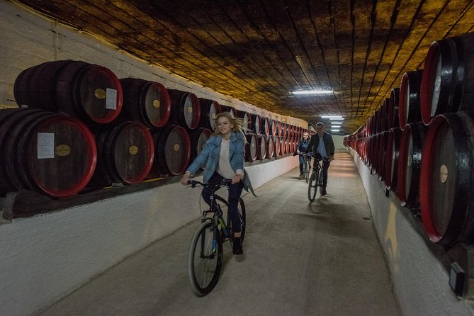 Private Bike Tour to Cricova Winery With Wine Tasting and Lunch - Tour Overview