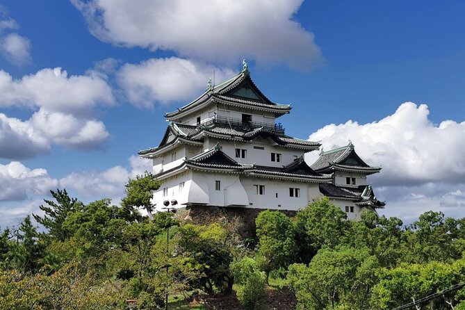 Private Customizable Tour in Wakayama - Tour Details