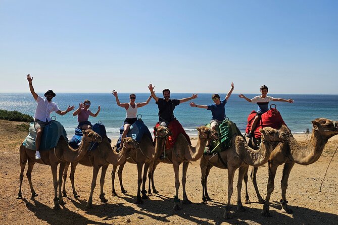 Private Day Tour in Gibraltar and Tangier, Morocco From Malaga - Price and Booking